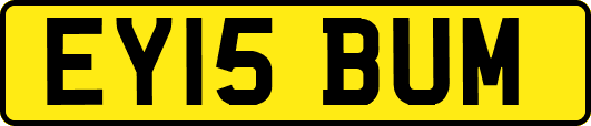 EY15BUM