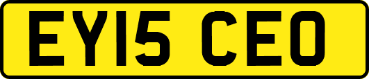 EY15CEO