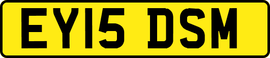 EY15DSM