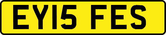 EY15FES