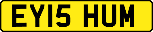 EY15HUM