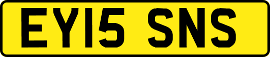 EY15SNS