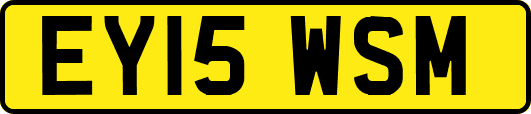 EY15WSM