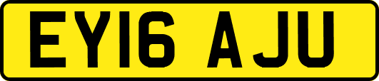 EY16AJU