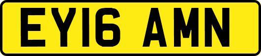 EY16AMN