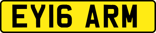 EY16ARM