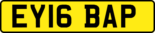 EY16BAP