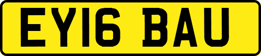 EY16BAU