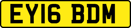 EY16BDM