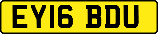 EY16BDU