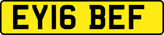 EY16BEF
