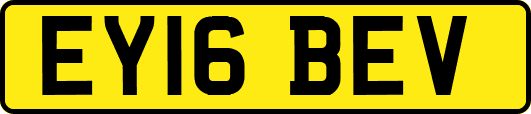EY16BEV