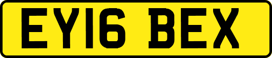 EY16BEX