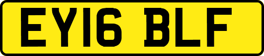 EY16BLF