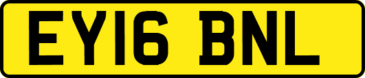 EY16BNL