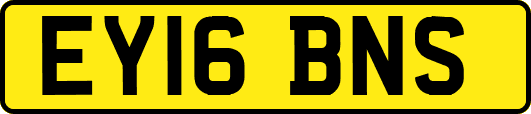 EY16BNS