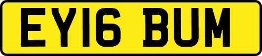 EY16BUM