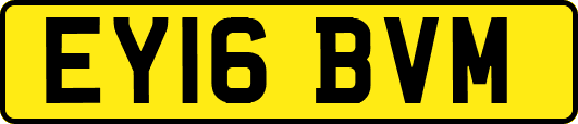 EY16BVM