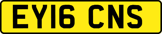 EY16CNS