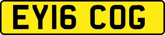 EY16COG