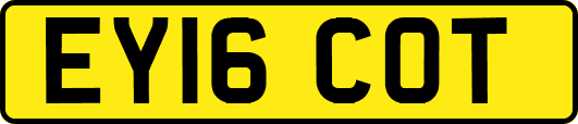 EY16COT