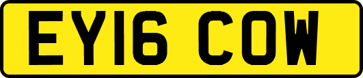 EY16COW