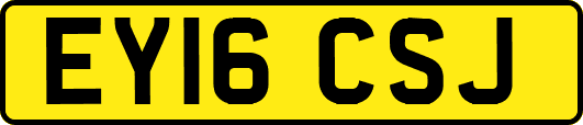EY16CSJ