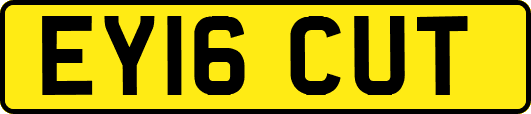EY16CUT
