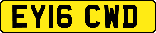EY16CWD