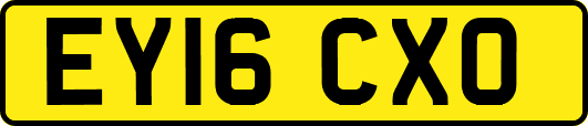 EY16CXO