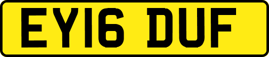 EY16DUF