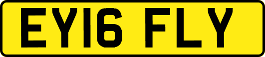 EY16FLY