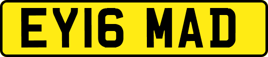 EY16MAD