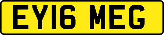 EY16MEG
