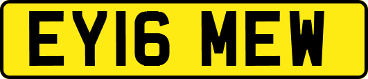 EY16MEW