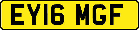 EY16MGF