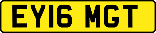 EY16MGT