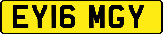 EY16MGY