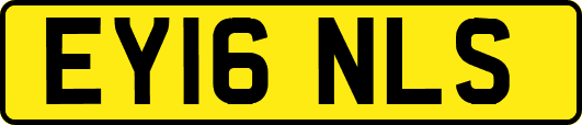 EY16NLS