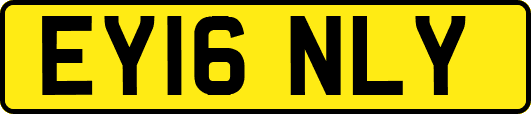 EY16NLY