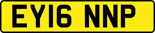 EY16NNP