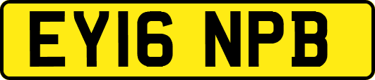 EY16NPB