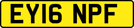 EY16NPF