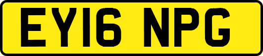 EY16NPG