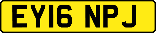 EY16NPJ