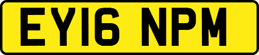EY16NPM