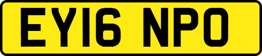 EY16NPO