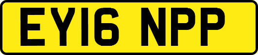 EY16NPP