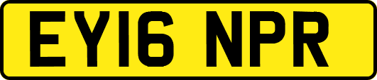 EY16NPR