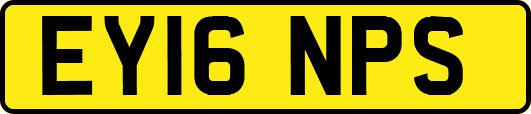 EY16NPS